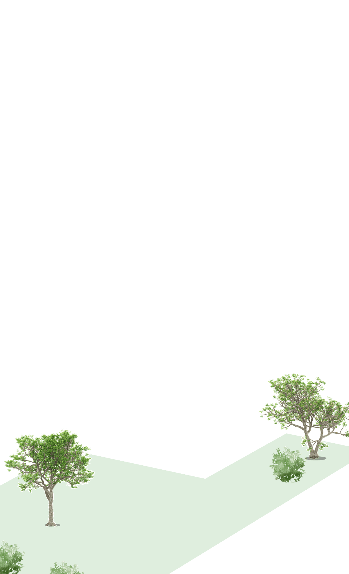 trees and grass